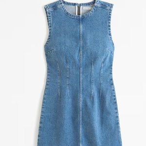 Abercrombie Denim Mini Dress